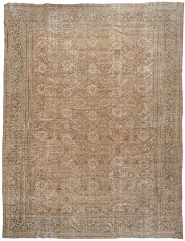 Amias Rug