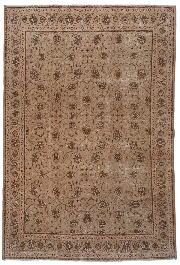 Allegra Rug