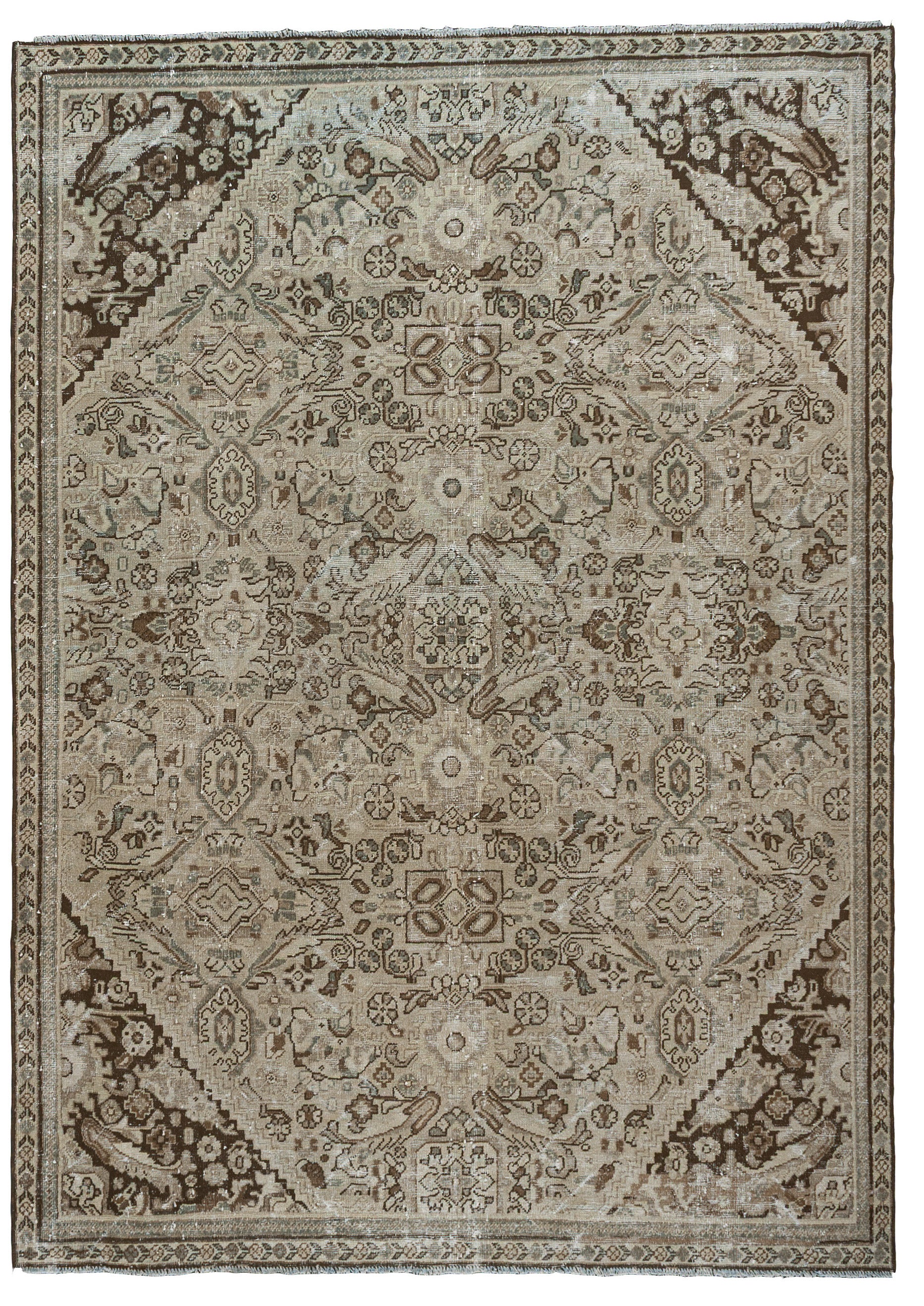 Nyla Rug