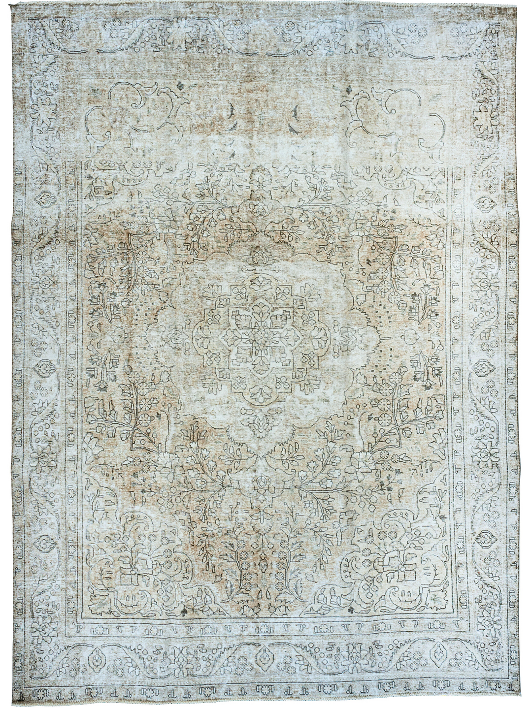 Oasis Rug